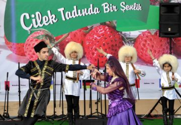 Uluslararası Osmanlı Çileği Kültür ve Sanat Festivali