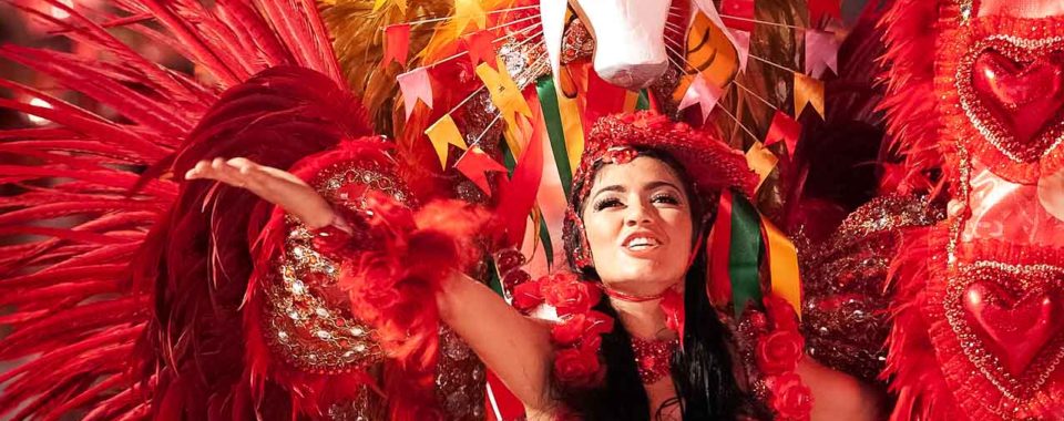 Parintins Folklor Festivali | Brezilya