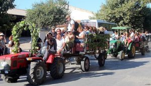 Bozcaada Bağbozumu Festivali