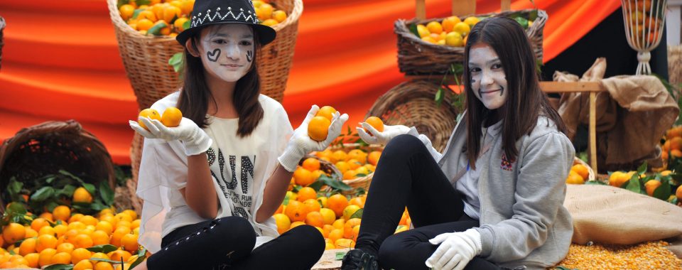 Seferihisar Mandalina Festivali